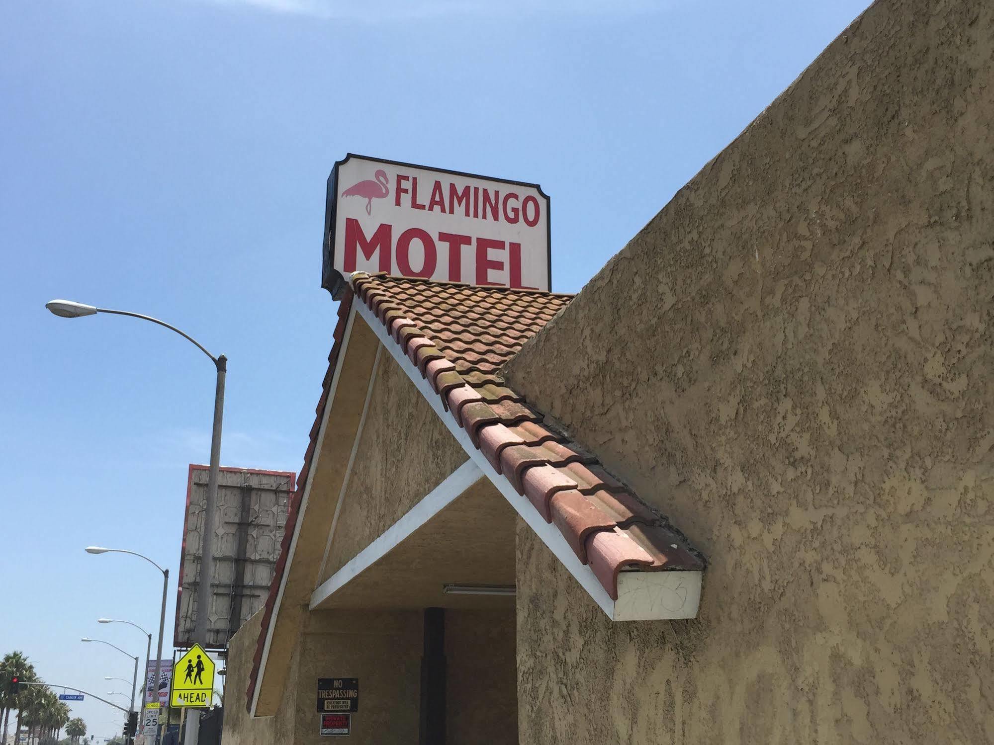 Motel The Fly Lynwood