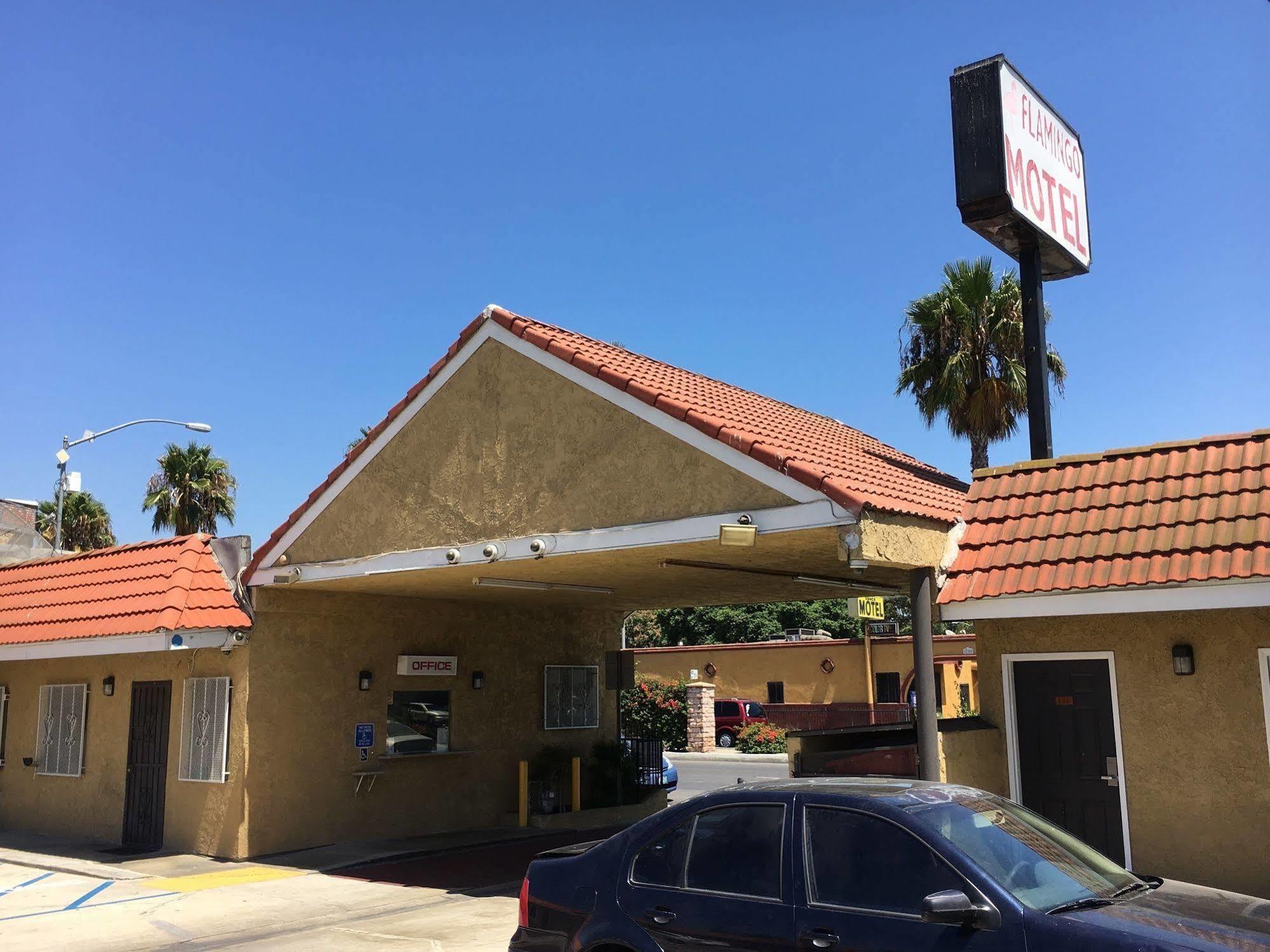 Motel The Fly Lynwood